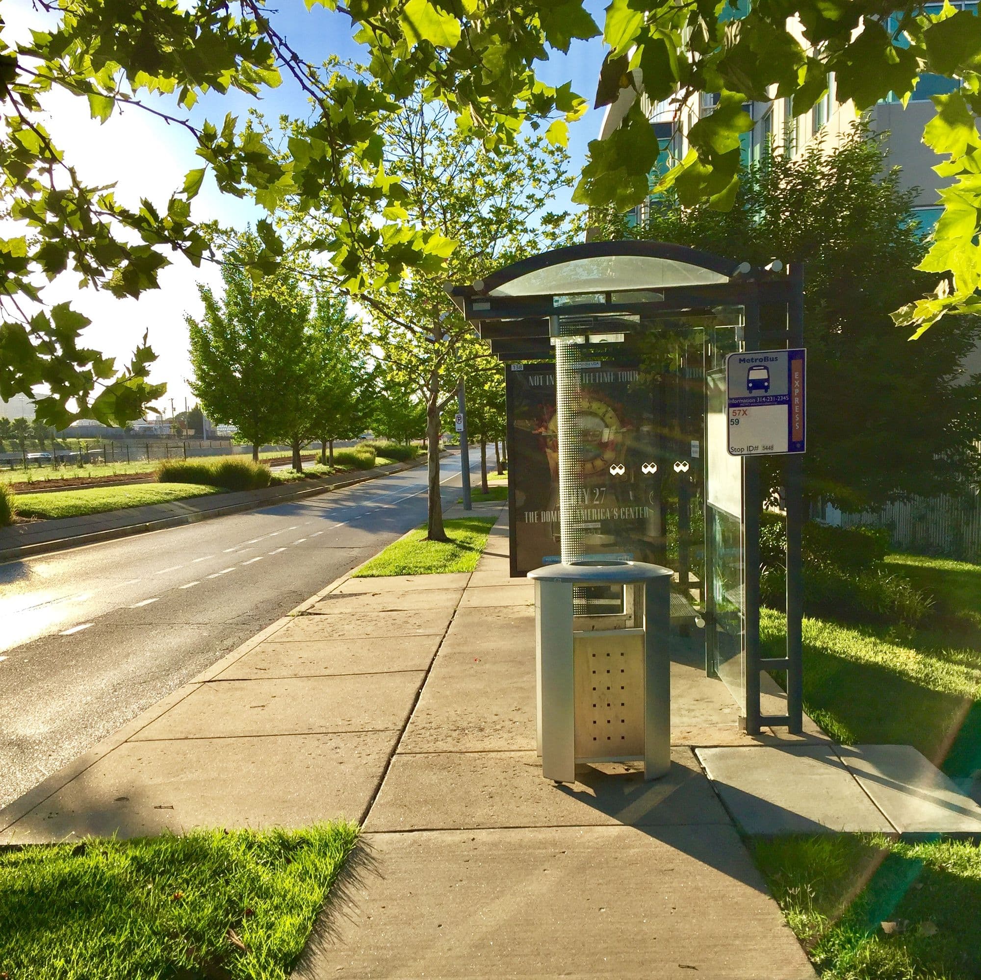 A MetroBus shelter on a tree-lined St. Louis street in early-morning light